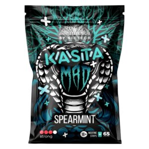 ⚡NEW - KASTA X MAD - 150mg - SPEARMINT