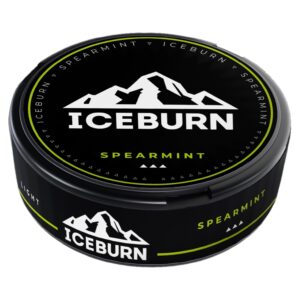 ICEBURN - GL - 60mg - SPEARMINT - Мятная Жвачка