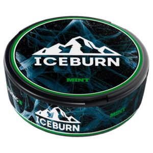 ICEBURN - HS - 100mg - MINT - Мята