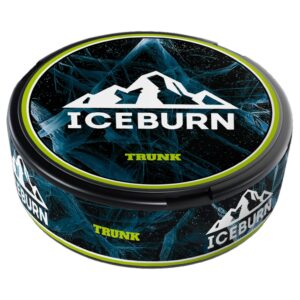 ICEBURN - HS - 75mg - TRUNK - Киви