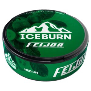 ICEBURN - MODERN - 75mg - FEIJOA - Фейхоа