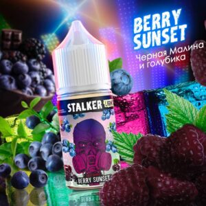 STALKER Berry Sunset - (черная малина и голубика) - 30ml - 2% LIGHT