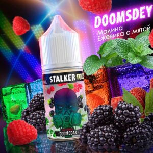STALKER Doomsday - (малина с ежевикой и мятой) - 30ml - 2% LIGHT