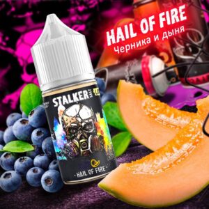 STALKER Hail of Fire - (черника и дыня) - 30ml - 2% LIGHT