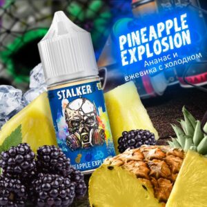 STALKER Pineapple Explosion - (ананас и ледяная ежевика) - 30ml - 6% HARD