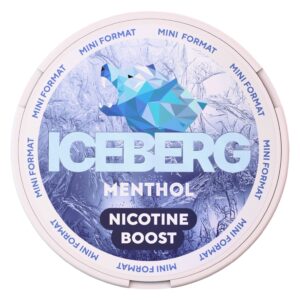ICEBERG - MINI - 10gr - 75mg - MENTHOL