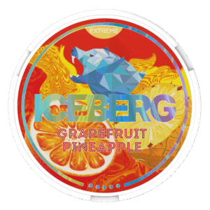 ICEBERG - CLASSIC - 110mg - GRAPEFRUIT PINEAPPLE