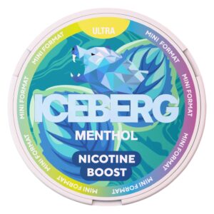 ICEBERG - MINI - 10gr - 150mg - MENTHOL