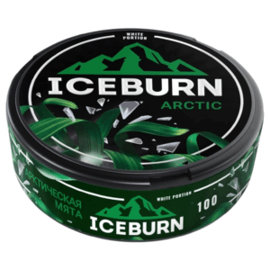 ICEBURN - 100mg - ARCTIC - Арктическая Мята